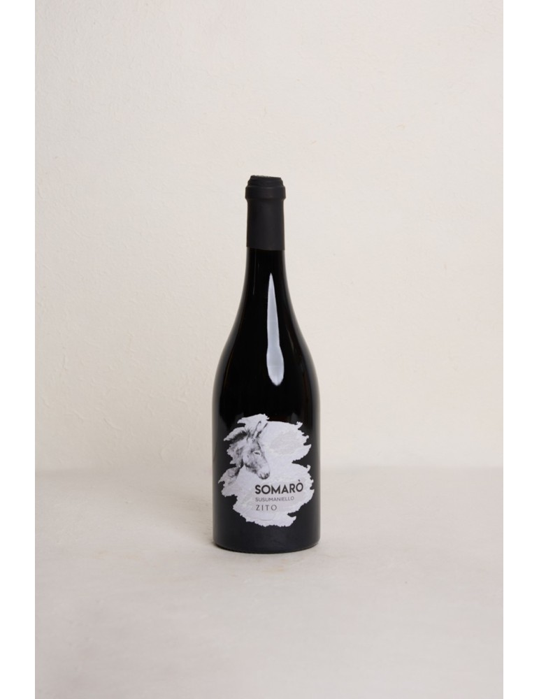 SOMARO' susumaniello